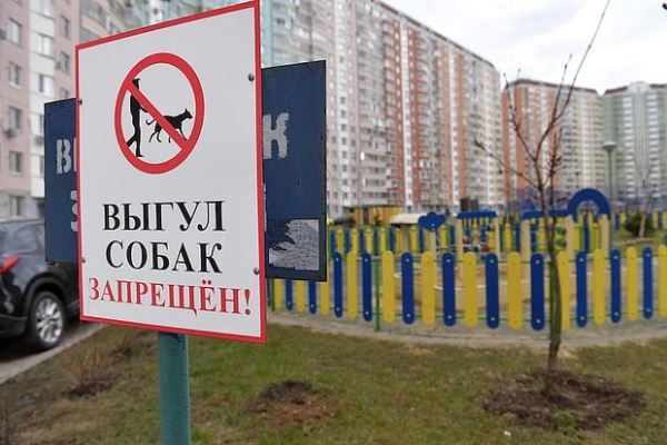 Эксперт предупредил россиян о штрафах за выгул собак на детских площадках