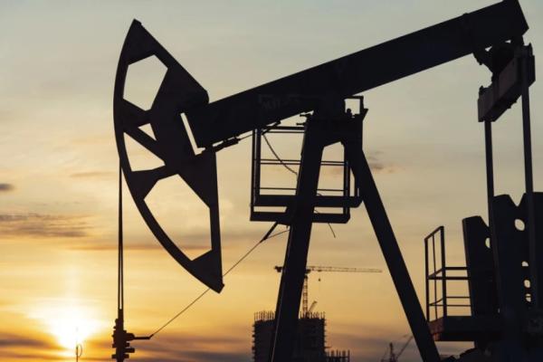 Индийские НПЗ проверяют поставки нефти из России на фоне санкций США против «Роснефти» и «Лукойла»