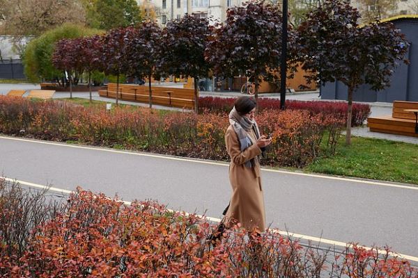 Синоптик Позднякова: в московские выходные ожидаются небольшие дожди при температуре до +8°C