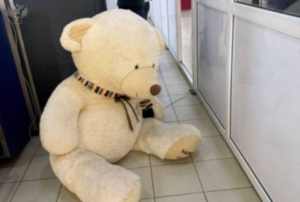 Таможенники Сочи изъяли контрабандные сигареты, спрятанные в игрушечном медведе