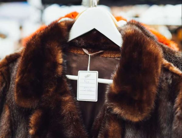 Шуба-дуба-ду: как подготовить натуральный мех к сезону, правила ухода и эксплуатации