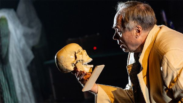 Поп-подмостки: дебют Сергея Жукова в Губернском, Розенбаум в Театре Армии