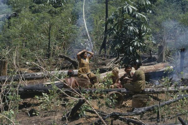 В бой, бабы: существовали ли в реальности древние воительницы