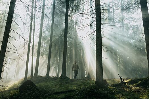 Фильм "Август" лидирует в российском прокате четвертую неделю подряд