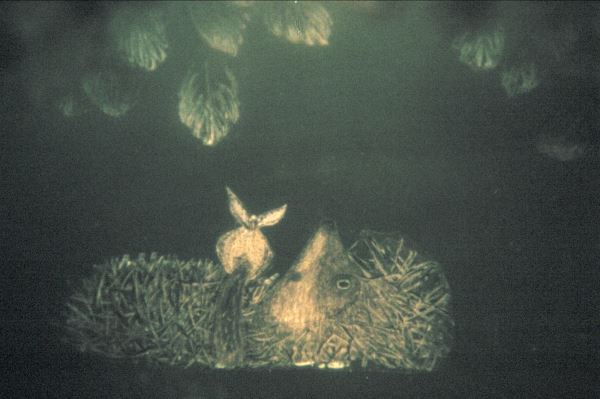 Мультфильму «Ежик в тумане» исполнилось 50 лет