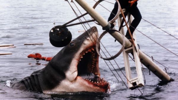 Топ-6 любимых фильмов «Короля ужаса» Стивена Кинга