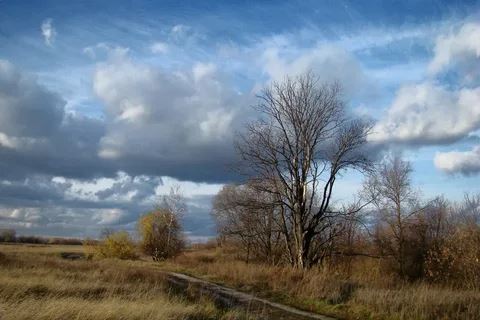 Ноябрьские вихри погоды