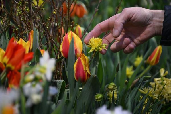 «Фолкнер», да не тот: «Известия» публикуют фрагмент предпоследнего романа Мэри Шелли