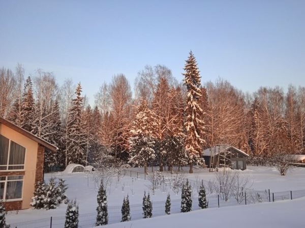 Зима 2025–2026 в России будет холоднее и непредсказуемой — Гидрометцентр